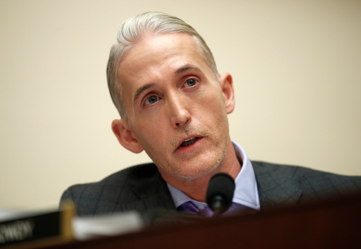 Trey Gowdy Went on Fox News and Stunned Viewers Into Silence With This
